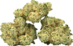 Burmese Kush