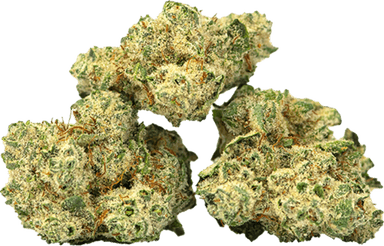 Burmese Kush
